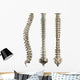 Human Spine With Disc Isolated Wall Decal