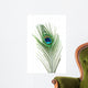 Peacock Feather Wall Mural