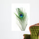 Peacock Feather Wall Mural