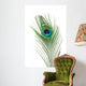 Peacock Feather Wall Mural