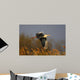 Heron Wall Mural
