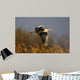 Heron Wall Mural