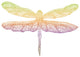 Colorful Dragonfly