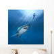 Shark Attack Wall Mural