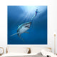 Shark Attack Wall Mural