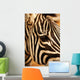 Zebra Wall Mural