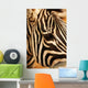 Zebra Wall Mural