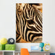 Zebra Wall Mural