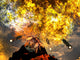 Young Volcano Being Born