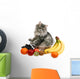 cat with fruit Wall Decal