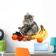 cat with fruit Wall Decal