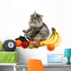 cat with fruit Wall Decal