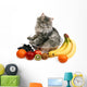 cat with fruit Wall Decal