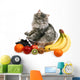 cat with fruit Wall Decal