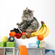 cat with fruit Wall Decal