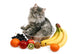 cat with fruit Wall Decal
