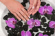 Manicure Wall Mural