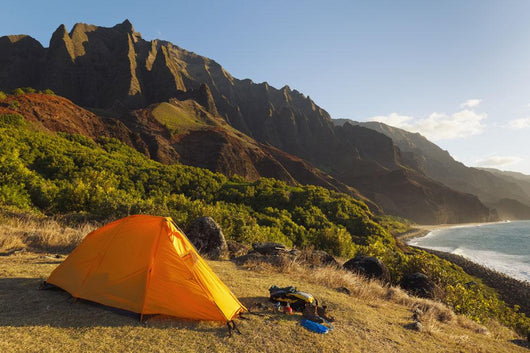 Campsite and Tent Wall Decal