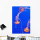 California Monterey Three Orange Wall Decal 2