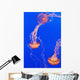 California Monterey Three Orange Wall Decal 2