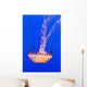 California Monterey Orange Jellyfish Wall Decal 2