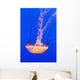 California Monterey Orange Jellyfish Wall Decal 2