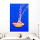California Monterey Orange Jellyfish Wall Decal 2