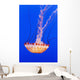 California Monterey Orange Jellyfish Wall Decal 2