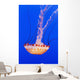 California Monterey Orange Jellyfish Wall Decal 2