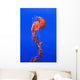 California Monterey Orange Jellyfish Wall Decal 1