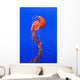 California Monterey Orange Jellyfish Wall Decal 1