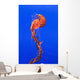 California Monterey Orange Jellyfish Wall Decal 1