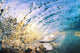 Hawaii Maui Makena Beautiful Wall Decal 2