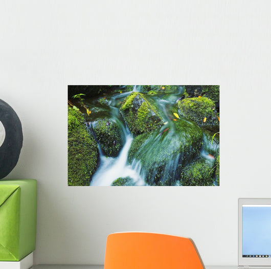 Beautiful Lush Stream Flowing Wall Decal 2