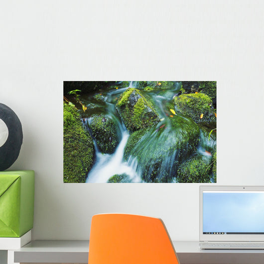 Beautiful Lush Stream Flowing Wall Decal 2