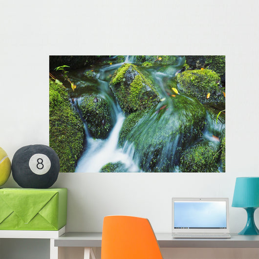 Beautiful Lush Stream Flowing Wall Decal 2