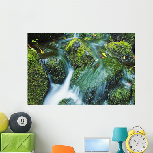 Beautiful Lush Stream Flowing Wall Decal 2