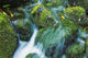 Beautiful Lush Stream Flowing Wall Decal 2