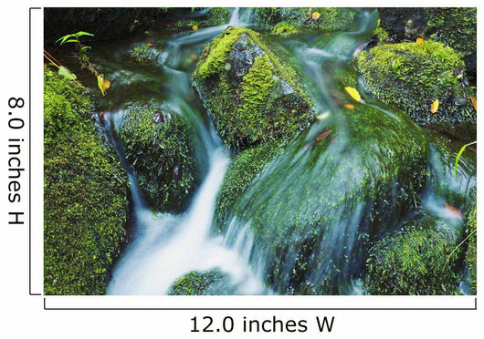 Beautiful Lush Stream Flowing Wall Decal 2