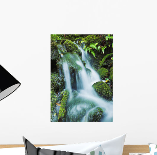 Beautiful Lush Stream Flowing Wall Decal 1