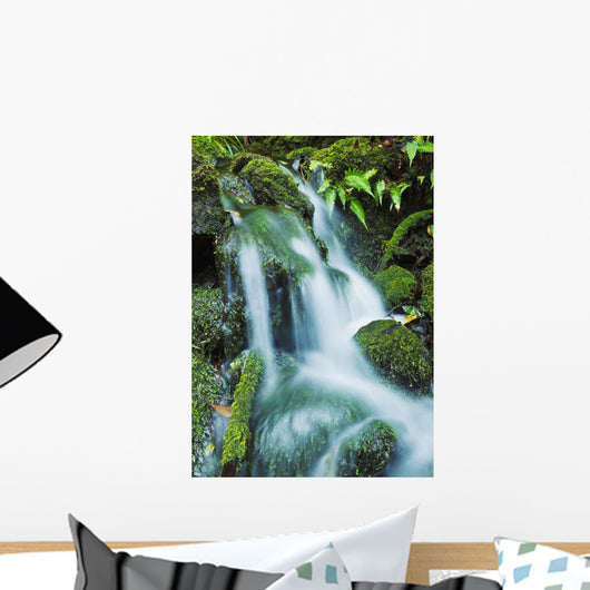 Beautiful Lush Stream Flowing Wall Decal 1