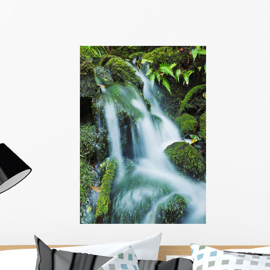 Beautiful Lush Stream Flowing Wall Decal 1