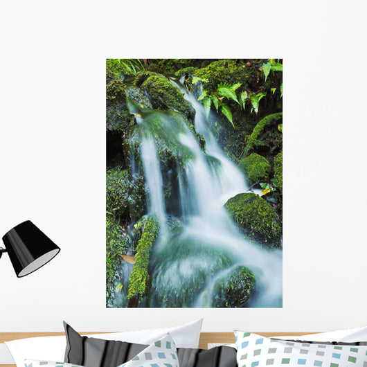 Beautiful Lush Stream Flowing Wall Decal 1