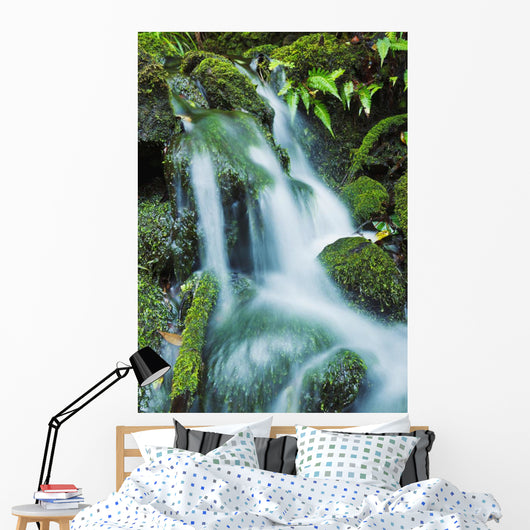 Beautiful Lush Stream Flowing Wall Decal 1
