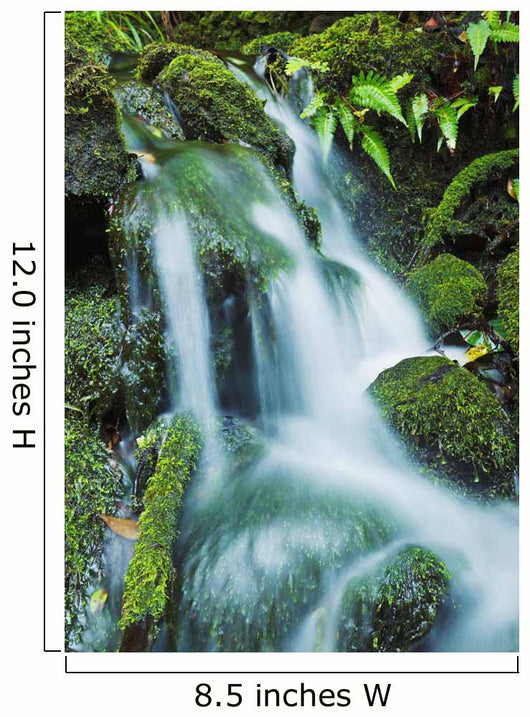 Beautiful Lush Stream Flowing Wall Decal 1
