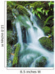 Beautiful Lush Stream Flowing Wall Decal 1