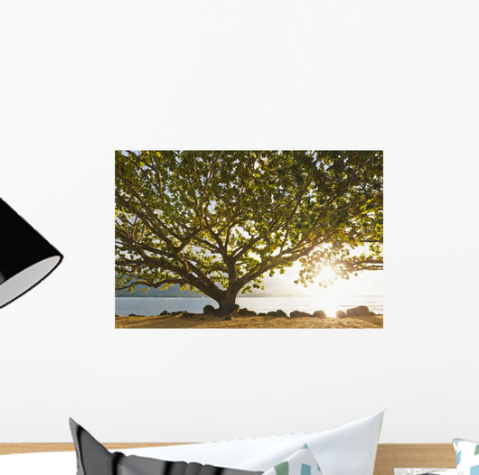 Hawaii Kauai Hanalei Bay Wall Decal 2