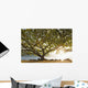 Hawaii Kauai Hanalei Bay Wall Decal 2