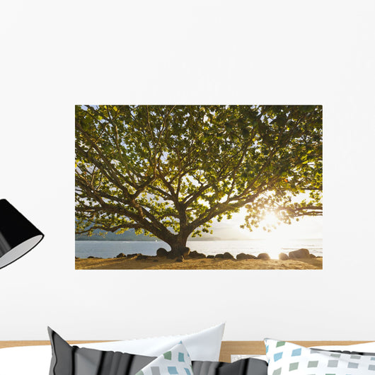 Hawaii Kauai Hanalei Bay Wall Decal 2