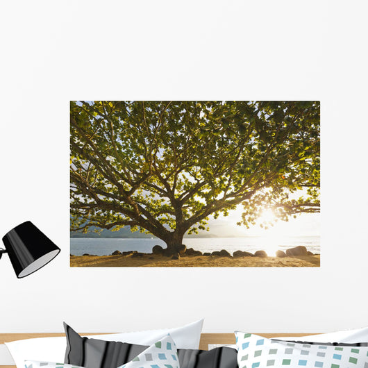 Hawaii Kauai Hanalei Bay Wall Decal 2